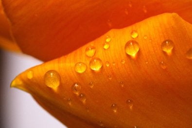 Edle Puzzle-Oberfläche